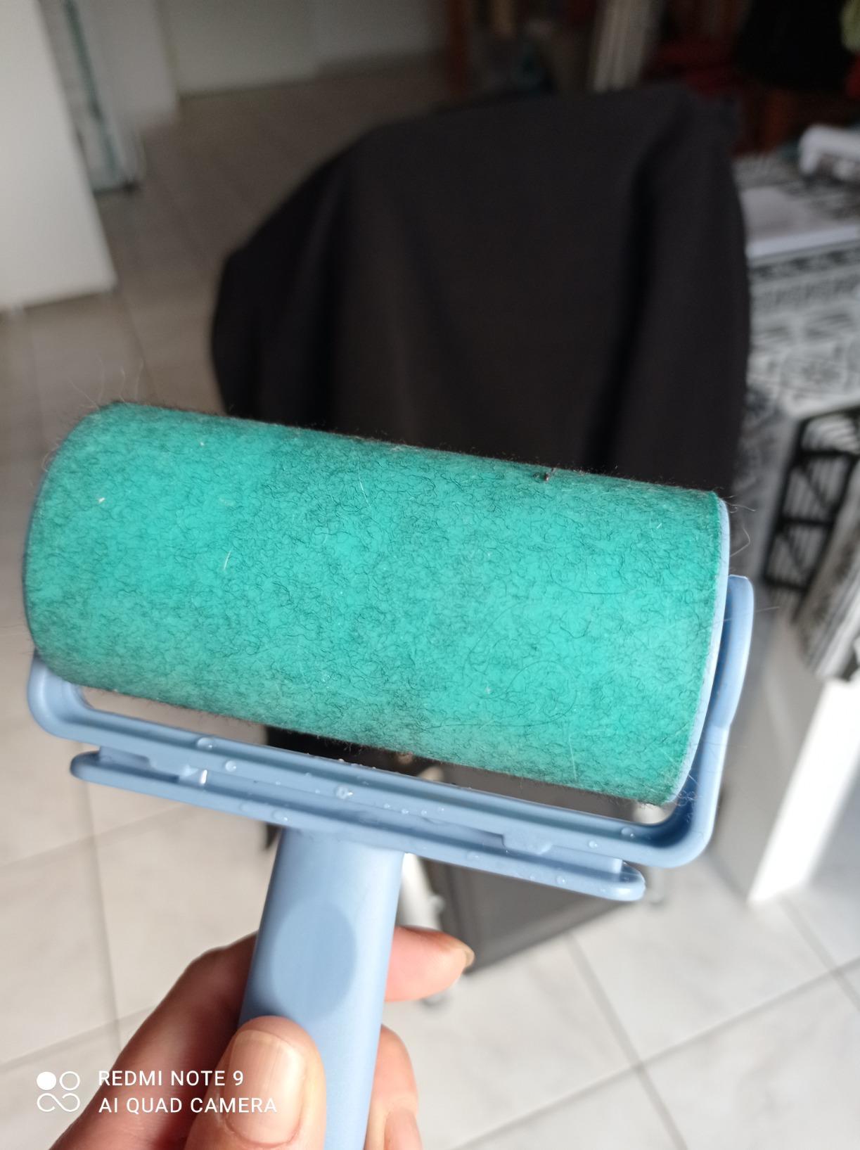 Bonne alternative écologique